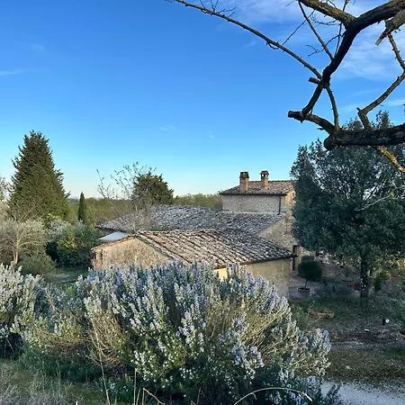 Daire Podere Il Conventino, Casette In Campagna Con Piscina Nottola